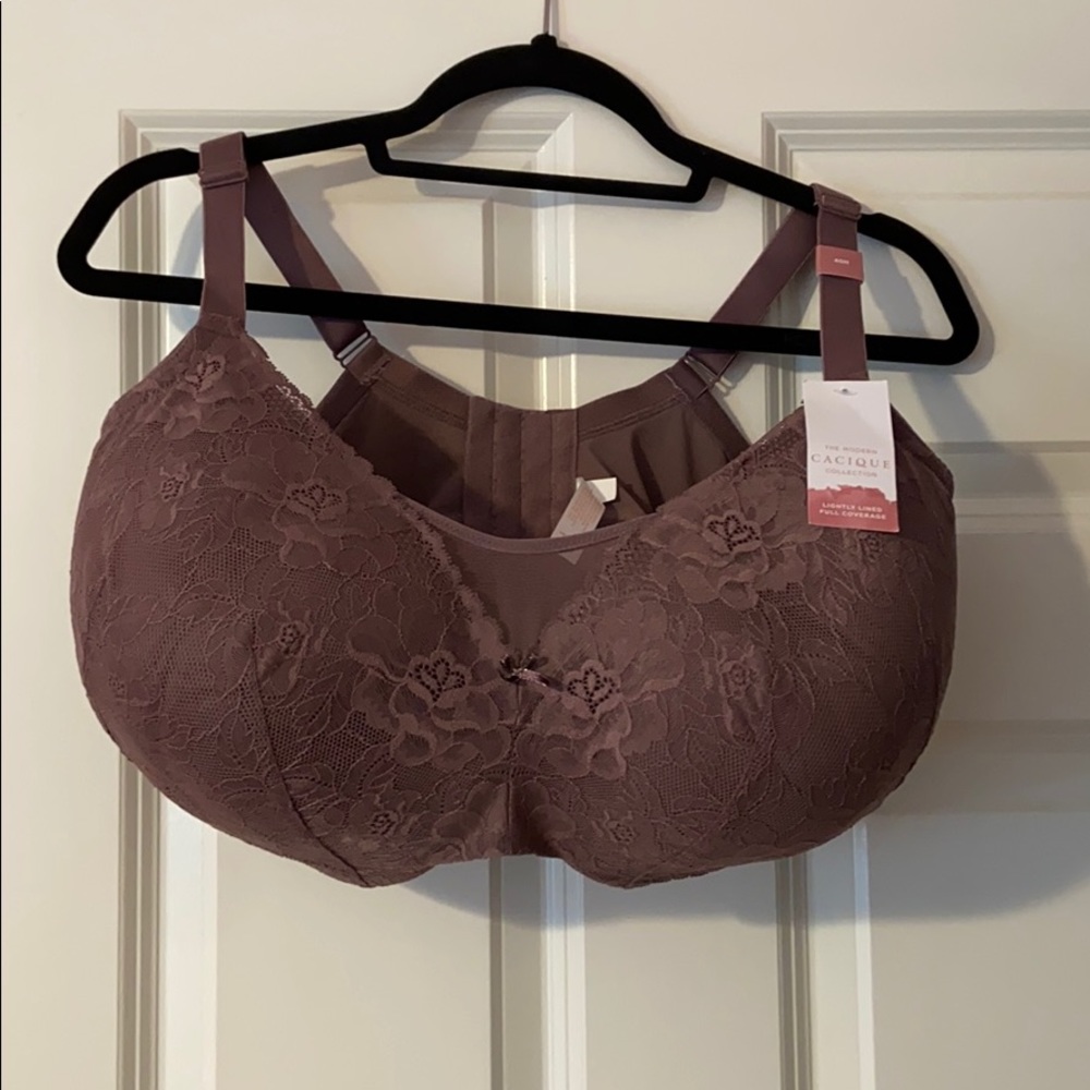Lane Bryant Bra